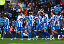 Tottenham vs Brighton Bet Builder Tips – 5/1 Premier League Special, Analysis & Predictions