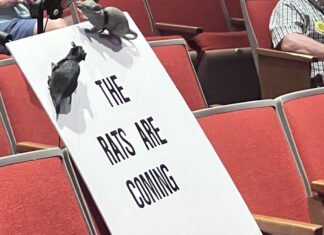 The Rats of Other Angels | Baseball Prospectus