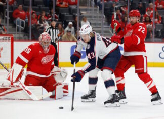 How Bold Will the Detroit Red Wings Get in the Offseason?