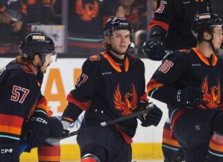 Firebirds looking for quick bounce-back