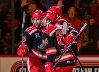 Griffins finish off Moose in Game 4